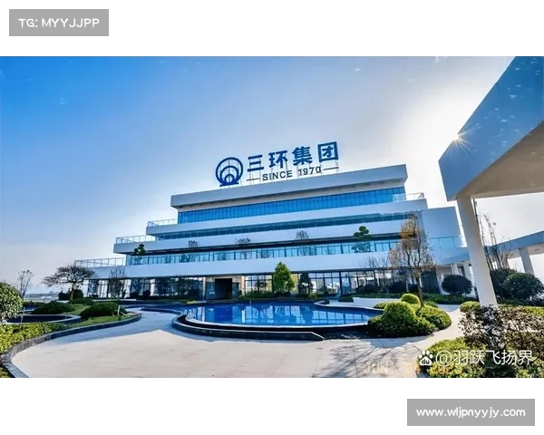 三环集团副总裁邱基华:抢滩“电子工业大米”千亿元市场 贴片电容小型化竞赛持续升温 三环集团副总裁邱基华:抢滩“电子工业大米”千亿元市场 贴片电容小型化竞赛持续升温