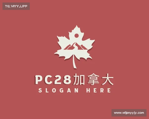 解读pc28加拿大